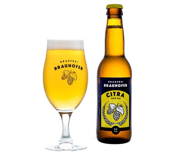 Bild von Brauerei Brauhofer CITRA Pale Ale