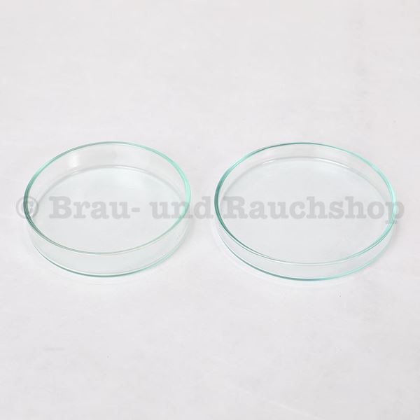 Bild von Petrischale Glas 80x15mm