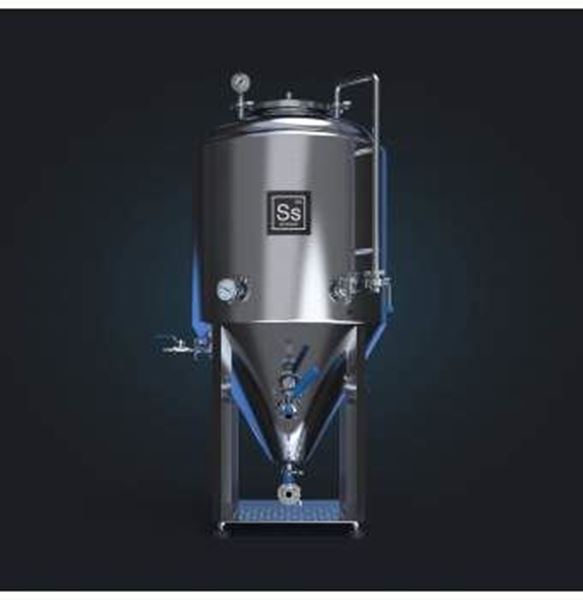 Bild von Ss Brewtech Unitank 318l (2bbl)