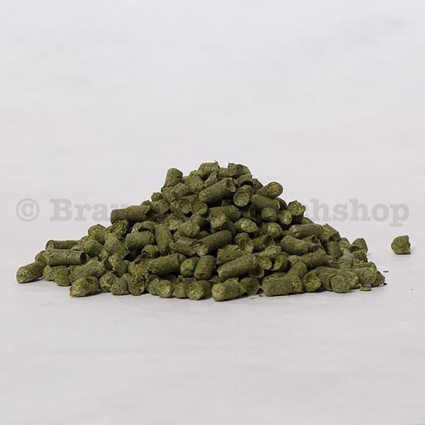 Bild von Sorachi Ace 11.7%