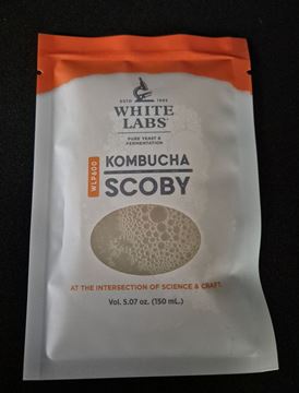 Bild von WLP Kombucha Scoby